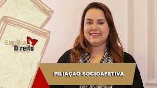 Explica Direito Filiação Socioafetiva  2019 [upl. by Arot863]