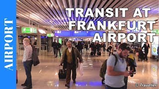 TRANSIT WALK AT FRANKFURT Airport FRA Terminal 1  Connection Flight Transfer Arriving amp Departing [upl. by Kella]